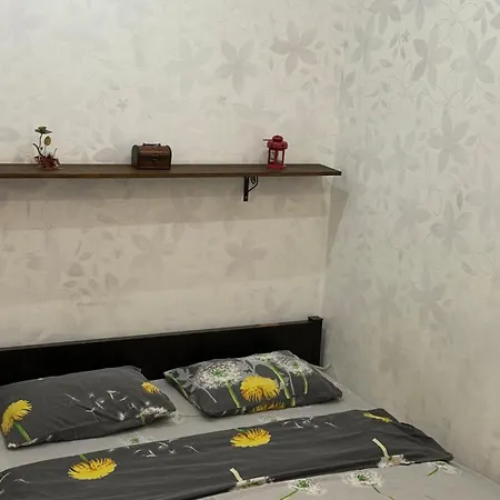 шолом алейхема 8 *